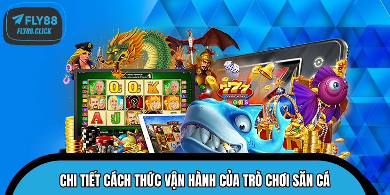 Chi tiết cách thức vận hành của trò chơi săn cá Chi tiết cách thức vận hành của trò chơi săn cá
