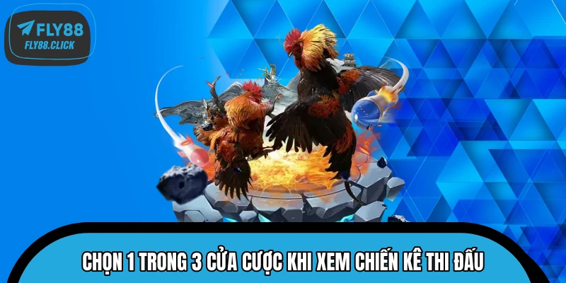 Chọn 1 trong 3 cửa cược khi xem chiến kê thi đấu Chọn 1 trong 3 cửa cược khi xem chiến kê thi đấu
