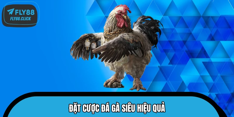 Đặt cược đá gà siêu hiệu quả Đặt cược đá gà siêu hiệu quả
