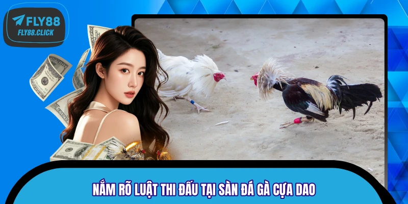 Nắm rõ luật thi đấu tại sàn đá gà cựa dao Nắm rõ luật thi đấu tại sàn đá gà cựa dao