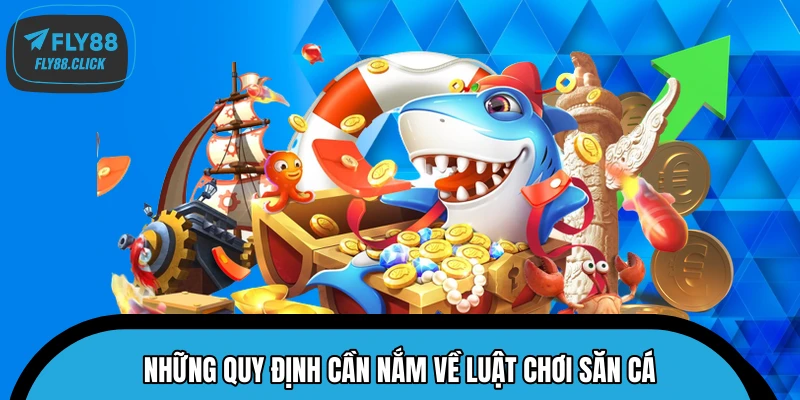 Những quy định cần nắm về luật chơi săn cá Những quy định cần nắm về luật chơi săn cá